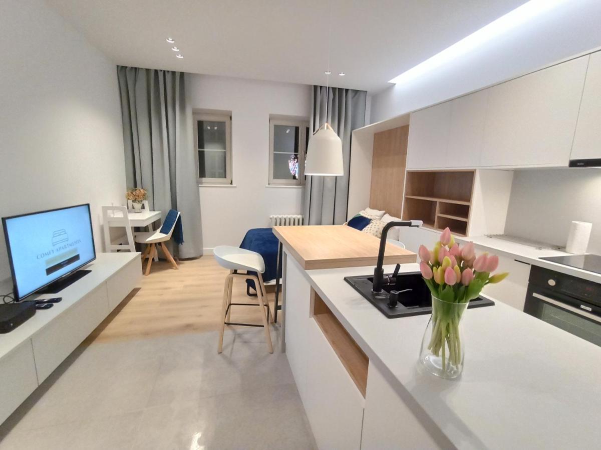 Comfy Apartments - Old Town Center 格但斯克 外观 照片